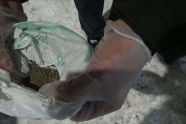 Кракен сайт даркнет зеркало