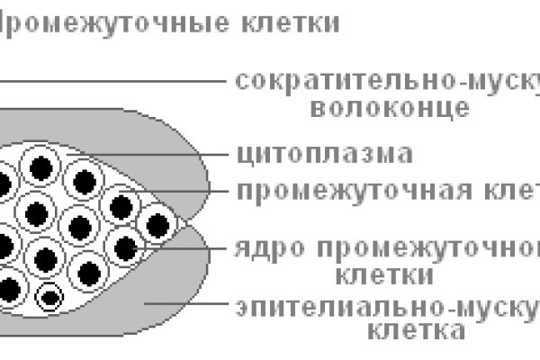 Онлайн магазин наркотиков