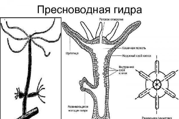 Кракен даркнет только через тор скачать