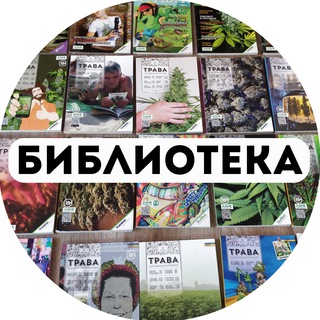 Как вернуть аккаунт кракен