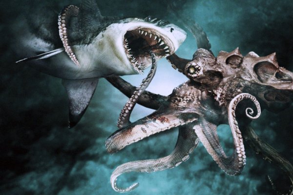 Kraken рынок