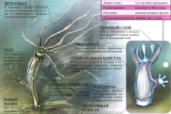 Зеркала сайта кракен tor